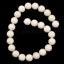 Природные окаменелое дерево бисер пряди&nbsp;G-L648-A03-16mm-01