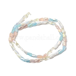 Гальванические стеклянные бусины&nbsp;EGLA-D300-01A-06