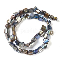 染め天然淡水シェルビーズ連売り  ナゲット  スチールブルー  7.5~9x9.5~15x5~9mm  穴：0.9mm  約42~50個/連  14.45''~14.76''（36.7~37.5センチメートル）&nbsp;SHEL-P016-01B