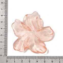 Transparente Harzcabochons&nbsp;RE-CBAEB2B-01A