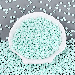 Perles de rocaille de verre opaques&nbsp;SEED-N012-09A-06