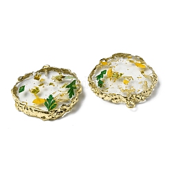 Прозрачные смоляные подвески&nbsp;RESI-D050-15LG