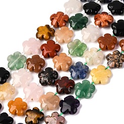 Смешанные природных драгоценных камней цветочные бусины нити G-L241B-07