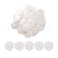 60 шт. натуральные бусины из ракушек капиз FIND-PH0026-67