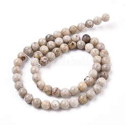天然のマイファナイト/マイファンストーンビーズ連売り  ラウンド  6mm  穴：1mm  約62個/連  15.1インチ（38.4cm）&nbsp;X-G-I187-6mm-01
