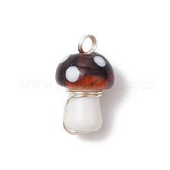 Бусины ручной работы бусы подвески PALLOY-JF03581