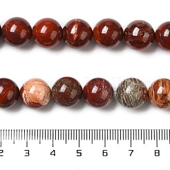 Нити бусин из яшмы из натуральной красной змеиной кожи G-H298-A02-05