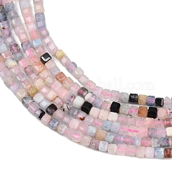 Природные морганит нитей бисера&nbsp;LS-G-L628-D04-2x2mm