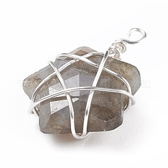 Природных драгоценных камней подвески&nbsp;PALLOY-JF01457-02