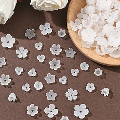 600 шт.&nbsp;OACR-SC0002-37