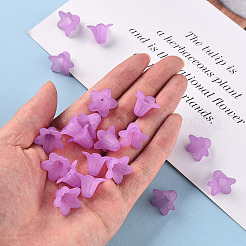 Прозрачные акриловые бусины PLF018-04