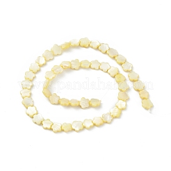 Натуральные пресноводные окрашенные бусы из ракушек&nbsp;SHEL-K001-001C