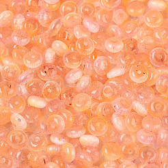 Perle di vetro&nbsp;SEED-N007-32C