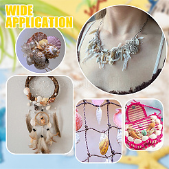 4 нити 2 стилей натуральные спиральные ракушечные бусины нити SHEL-PH0001-45