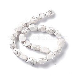 Fili di perline howlite naturale&nbsp;G-L235A-14