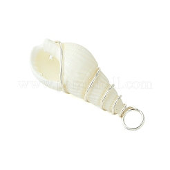 Кулоны из натуральных ракушек PALLOY-JF02794-02