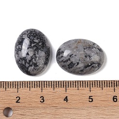 天然地図石カボション  オーバル  20~20.8x15~15.5x5.8~6.5mm&nbsp;G-B080-01A-09