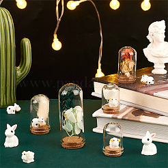 Стеклянный купол AJEW-PH0004-18