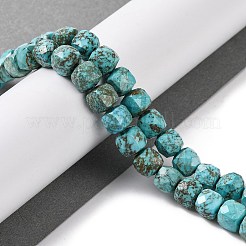 Природные Говлит бисер нитей&nbsp;G-G001-B03-02