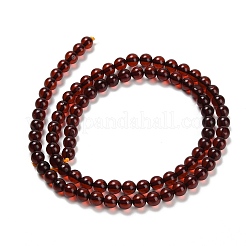 Янтарные шарики нити G-Z100-A02-5mm-01