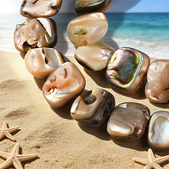 1 hebra de cuentas de concha de paua natural&nbsp;BSHE-PA0001-07