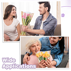 Подарочные пакеты из пластиковой бумаги opp для одного цветка&nbsp;DIY-GA0009-03