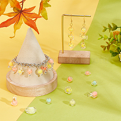 234 шт. Прозрачные акриловые бусины TACR-PH0001-68