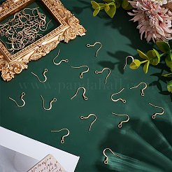 50 шт. французские крючки для сережек из нержавеющей стали 304&nbsp;STAS-LP0001-56