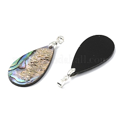 Natur Paua Muschel Anhänger&nbsp;PALLOY-JF05908