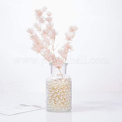 Абс пластмасса имитация жемчужина круглые бусины&nbsp;PH-MACR-F033-8mm-22