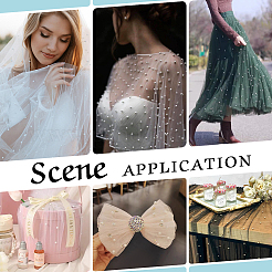 Жемчужная нейлоновая сетчатая ткань&nbsp;DIY-WH0569-02A