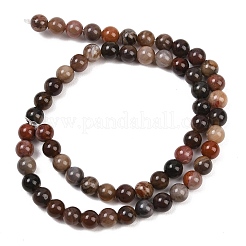 Натуральный окаменелого дерева нити круглый шарик&nbsp;G-F266-08-6mm