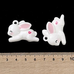 Подвески из непрозрачной смолы RESI-S022-02