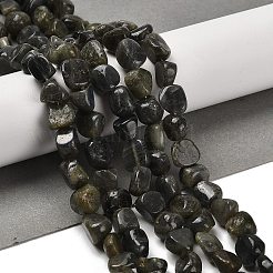 Натуральные нити бус из ларвикита G-P497-01E-85