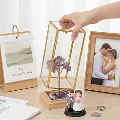 Vitrine mit Messingdeckel und Holzsockel&nbsp;DJEW-WH0028-072