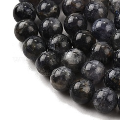 Природные иолит нитей бисера&nbsp;G-E561-16-10mm