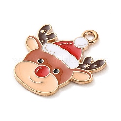 Подвески из эмали и сплава&nbsp;LS-ENAM-B030-02G-06