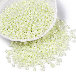 Colori opachi lustro perline di semi di vetro&nbsp;SEED-T006-02J