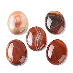 Cabochons en agate à bandes et agates à rayures naturelles&nbsp;G-H296-01G