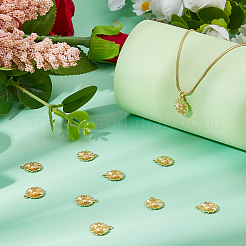 10шт латунные подвески&nbsp;KK-HS0015-61