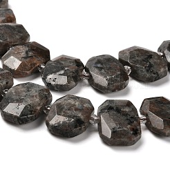 Натуральный флуоресцентный сиенитовый камень (светящийся в ультрафиолетовом свете) бусины нити G-H078-B11-01