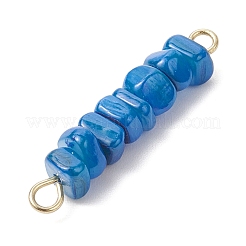 10 pieza de dijes conectores de cuentas de concha de agua dulce natural teñida en 10 colores&nbsp;PALLOY-JF04516-02