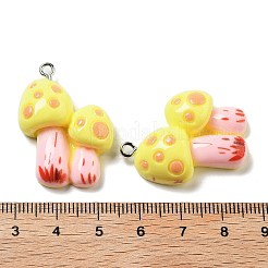 Подвески из смолы&nbsp;RESI-Z031-01D