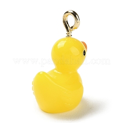 Подвески из непрозрачной смолы с героями мультфильмов&nbsp;CRES-Z004-01A-G