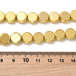 Chapelets de perles en verre électroplaqué&nbsp;EGLA-F166-04C-G