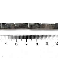 Натуральные нити бус из ларвикита G-G873-A04-01