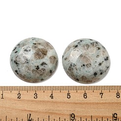 Natürliche Sesam-Jaspis-Cabochons&nbsp;G-C115-02B-08