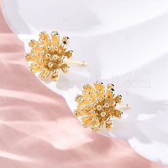Orecchini in ottone&nbsp;EJEW-Q014-34G