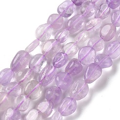 Natürliche Lavendel-Amethyst-Perlenstränge&nbsp;G-C268-A03-8x10mm