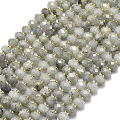 Природные лабрадорита бисер нитей G-P573-A55-01